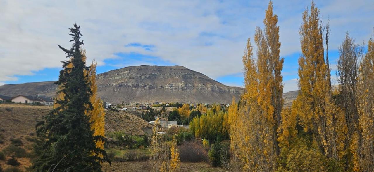 Terminal Suites El Calafate Bagian luar foto